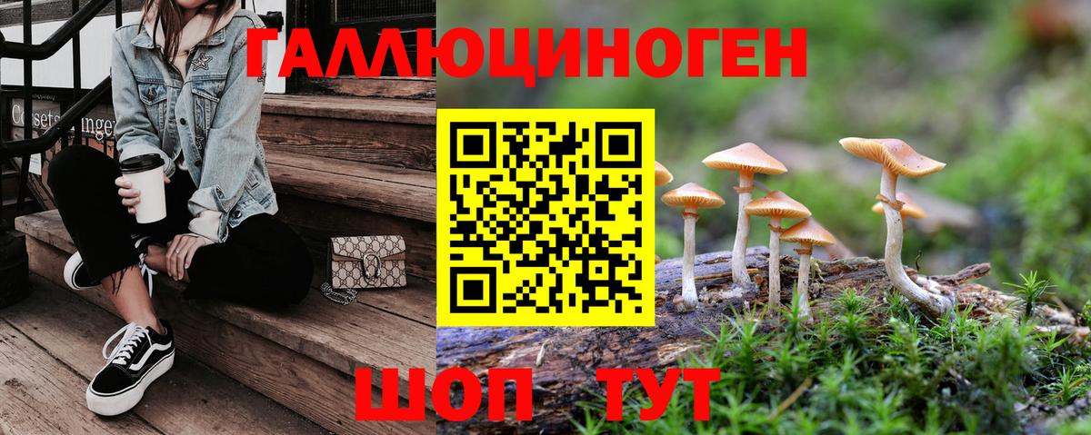 Галлюциногенные грибы Cubensis Санкт-Петербург
